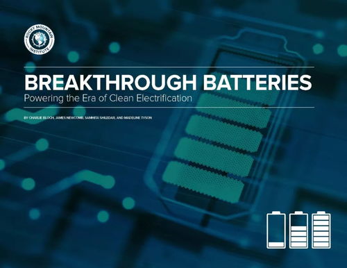 2019全球電池技術(shù)發(fā)展報(bào)告 技術(shù)開發(fā)與趨勢分析