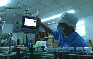 金津食品廠 自主研發機器人，引領生產流程智能化蛻變